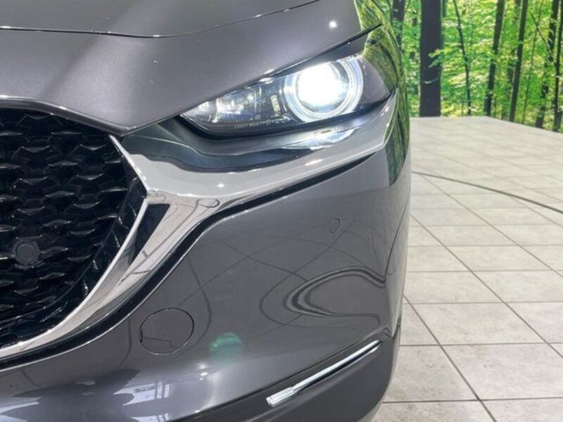 CX-30