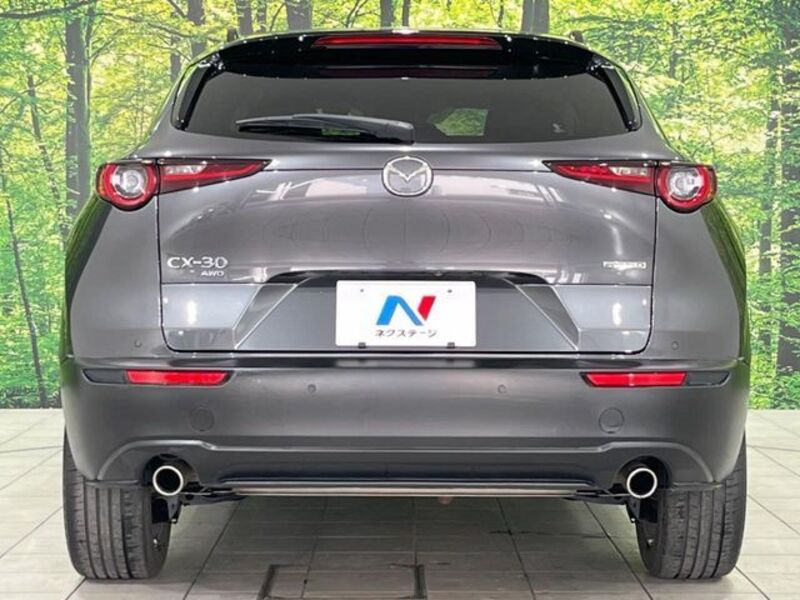 CX-30