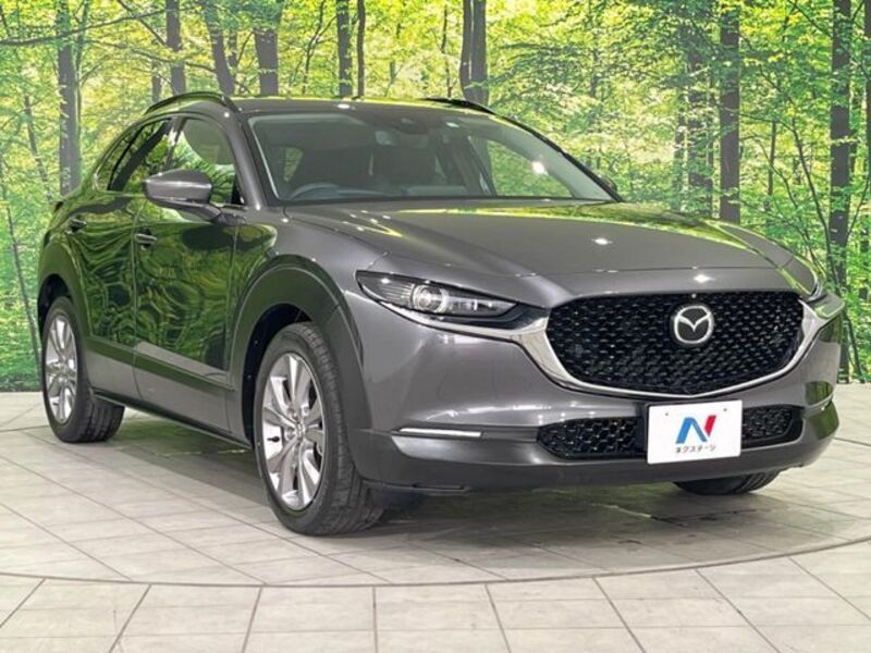 CX-30