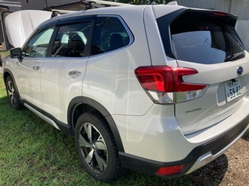 FORESTER
