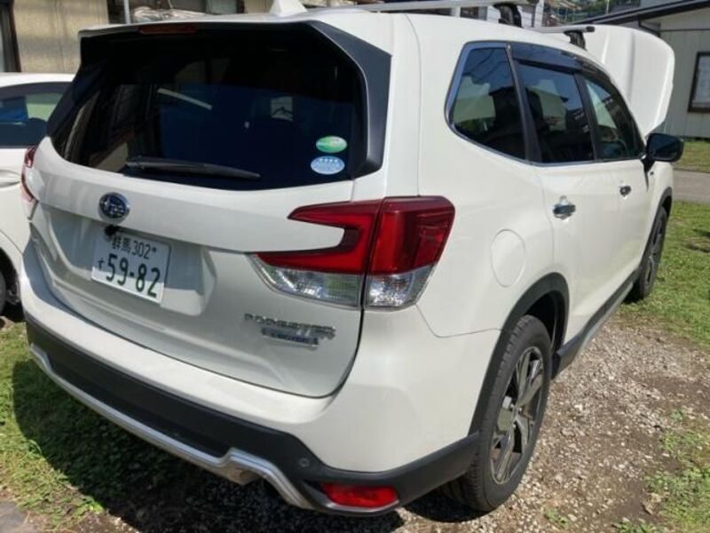 FORESTER