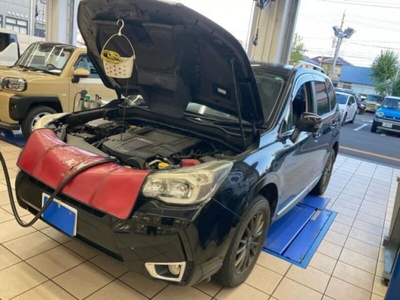 FORESTER-0