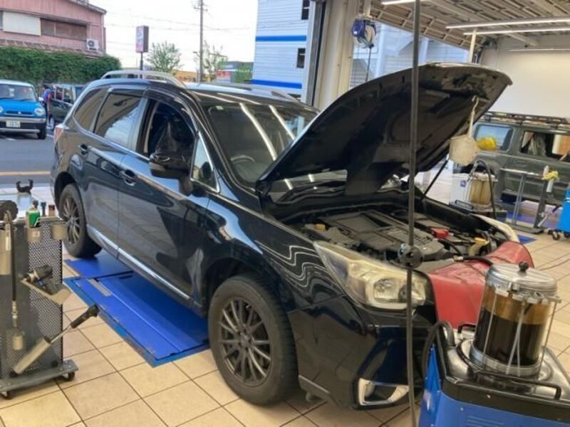 FORESTER