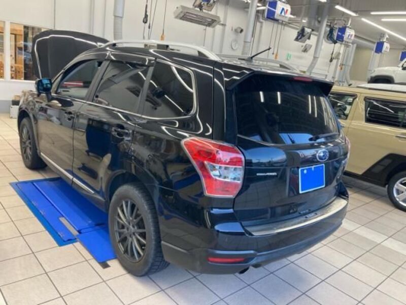 FORESTER