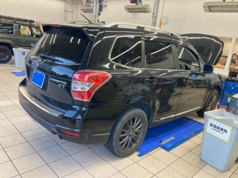 FORESTER