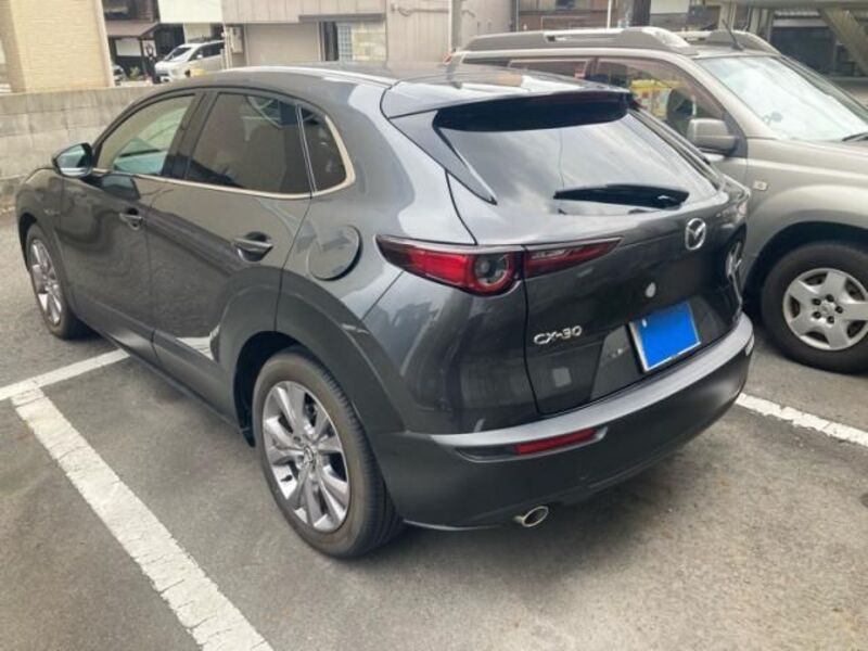 CX-30