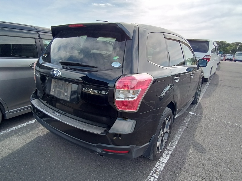 FORESTER