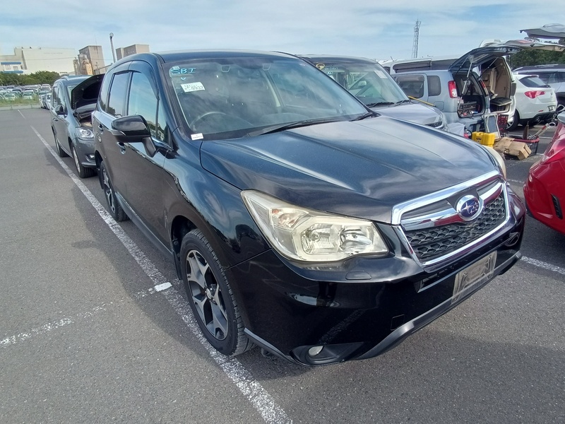 FORESTER
