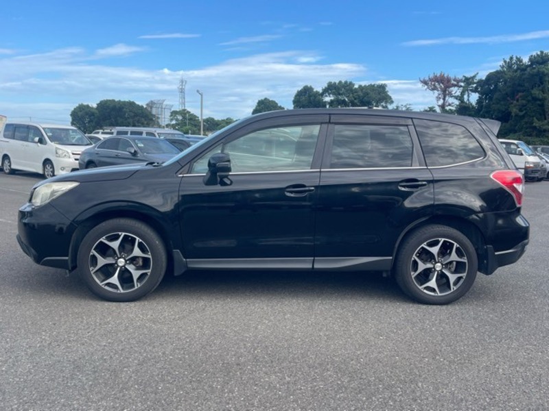 FORESTER