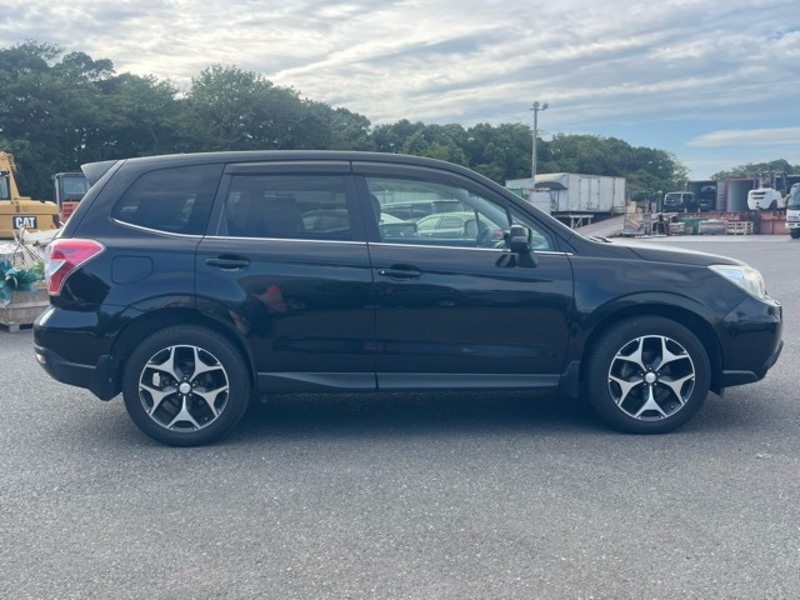 FORESTER