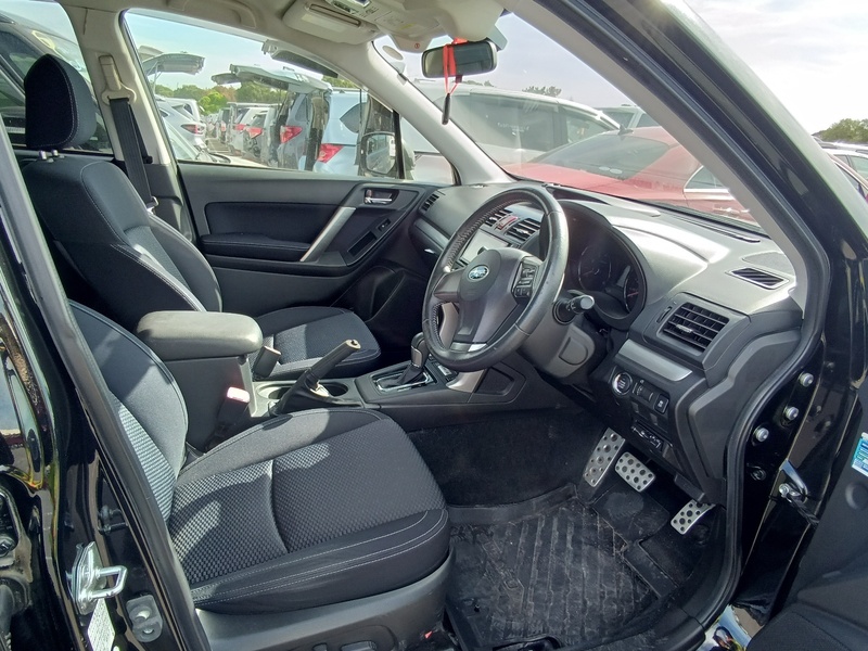 FORESTER