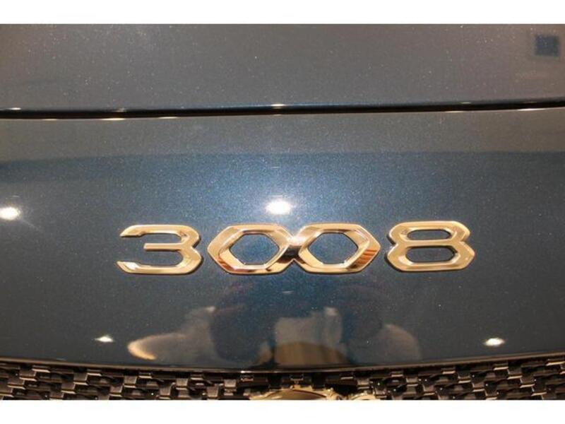 3008