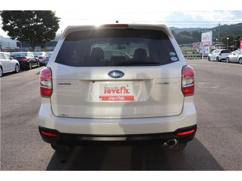 FORESTER