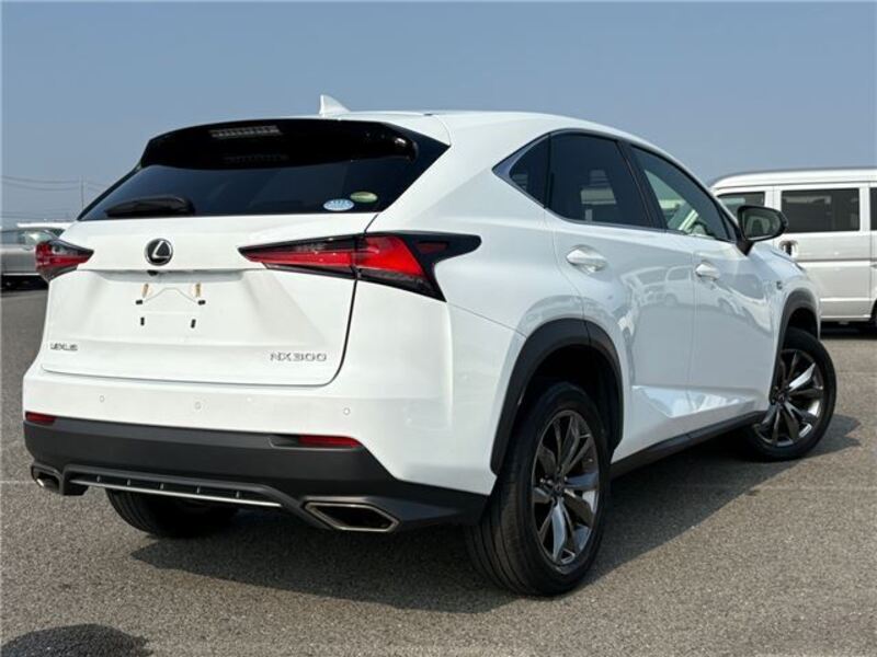 NX