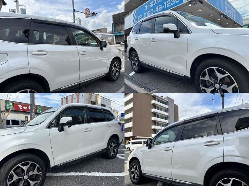 FORESTER