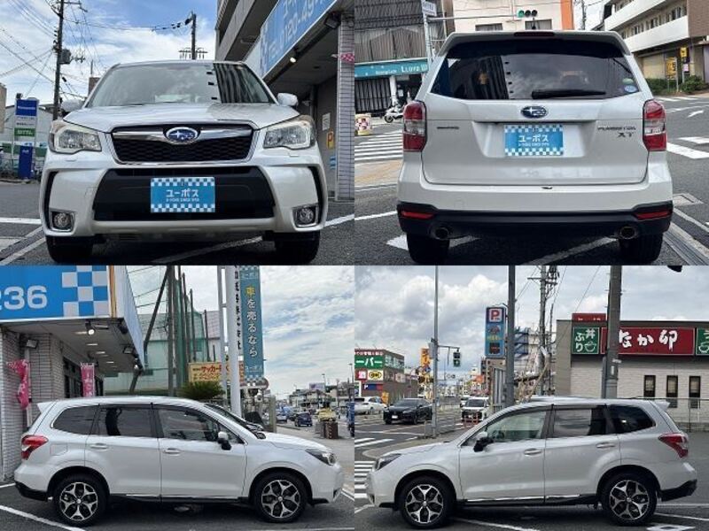 FORESTER