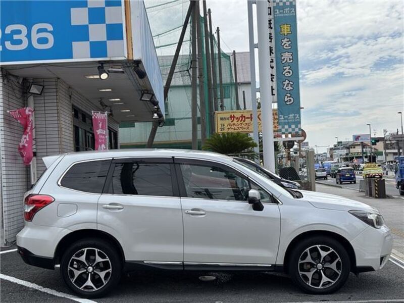 FORESTER
