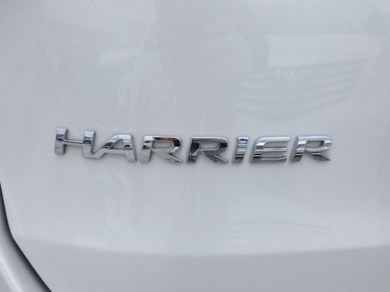 HARRIER