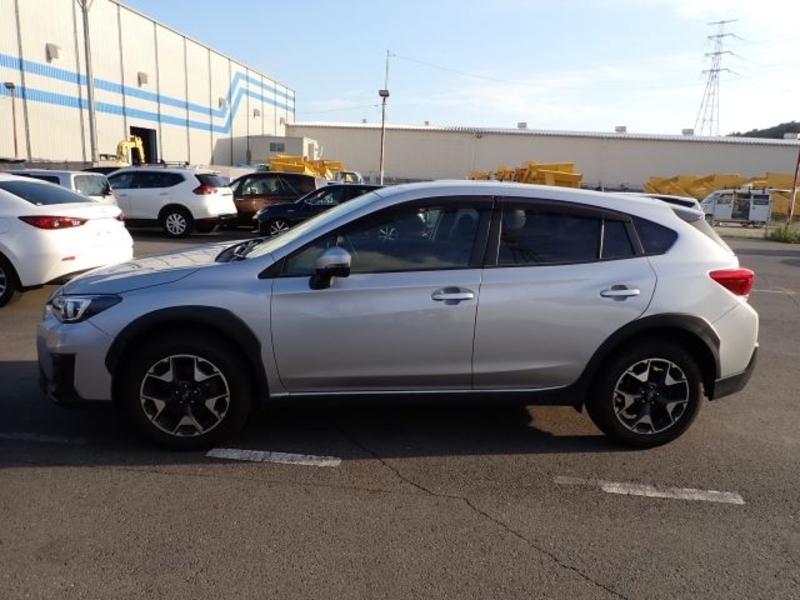 XV