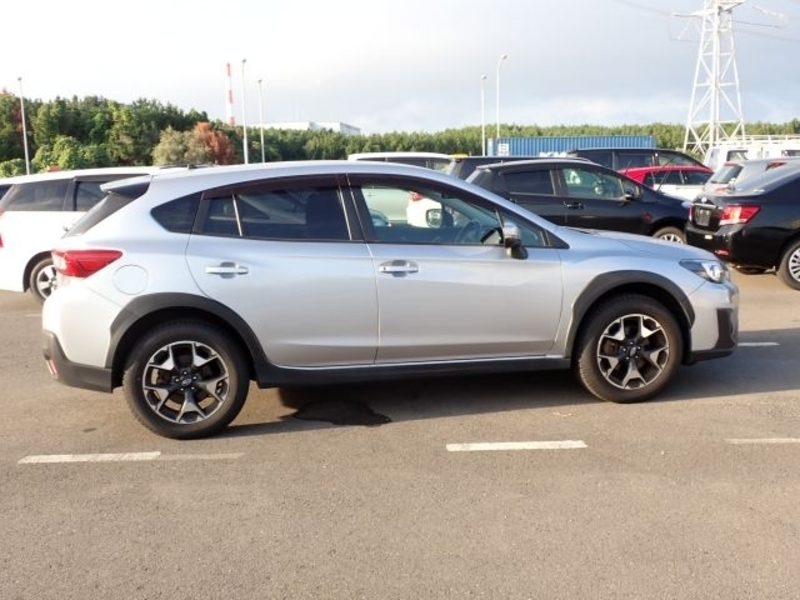 XV