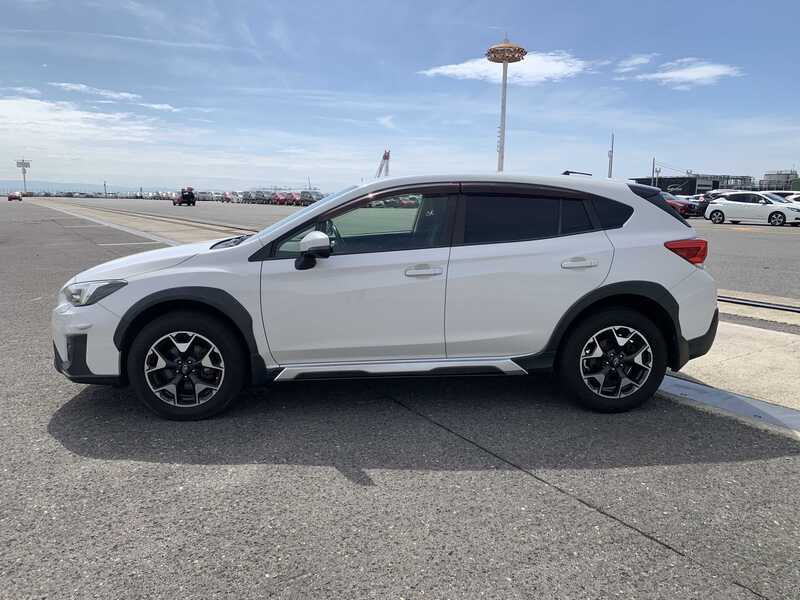 XV
