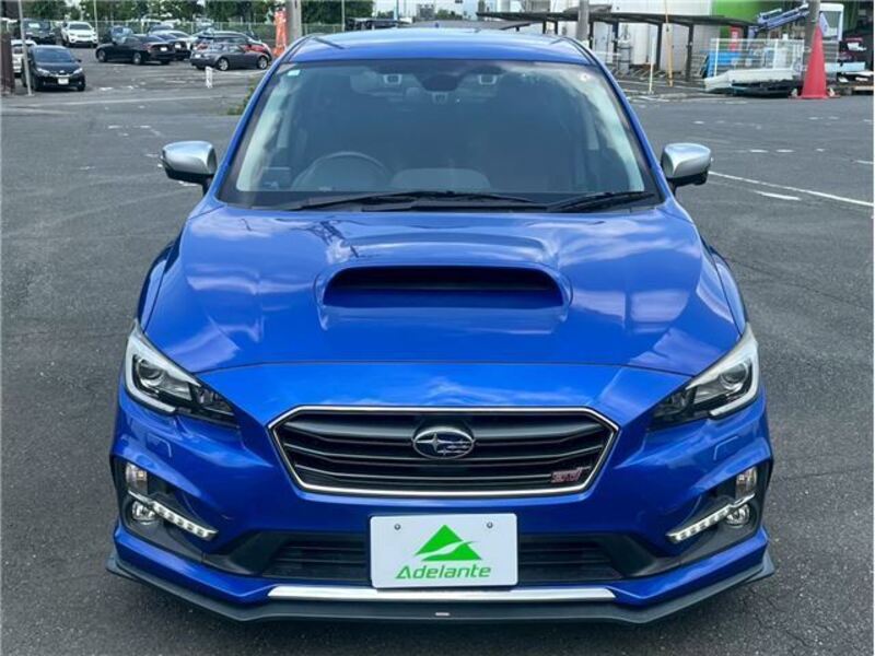 LEVORG