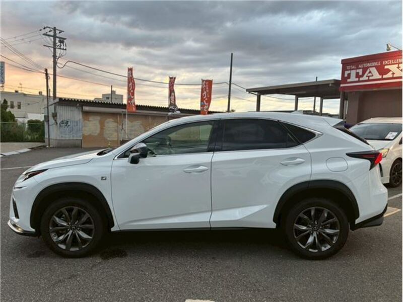 NX