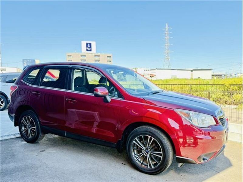 FORESTER