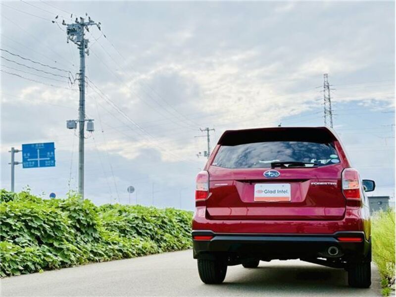 FORESTER