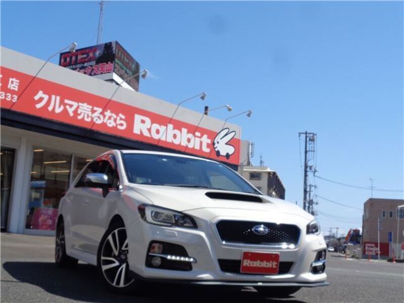 LEVORG-0