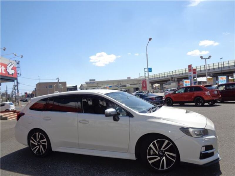 LEVORG