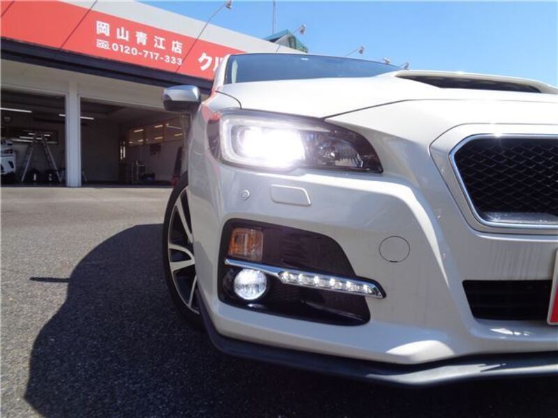 LEVORG
