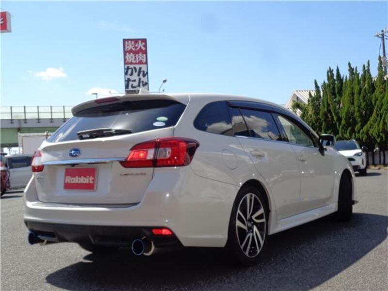 LEVORG