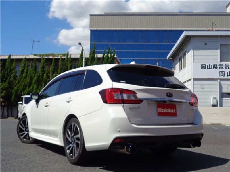LEVORG