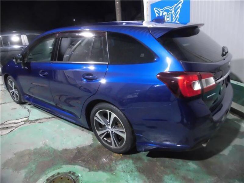 LEVORG
