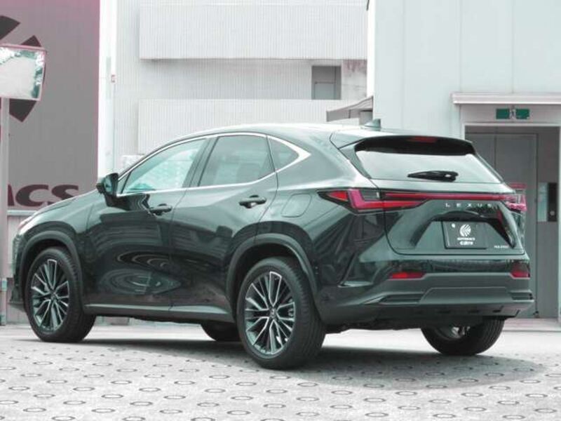 NX