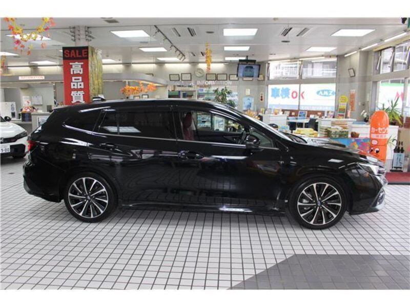 LEVORG