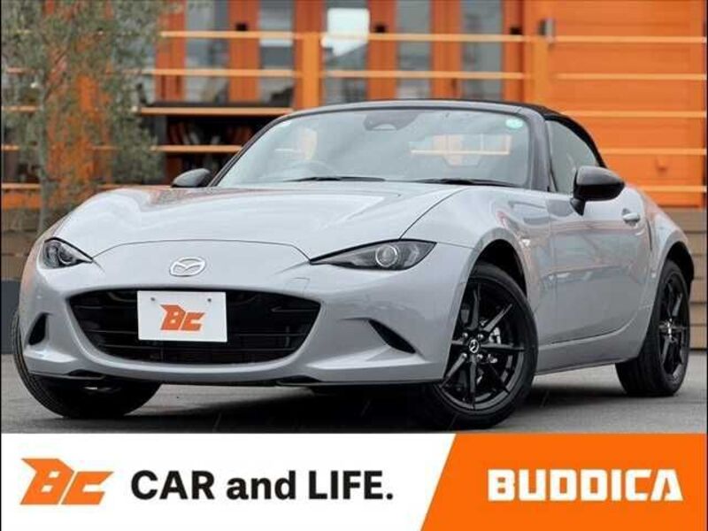 ROADSTER-0