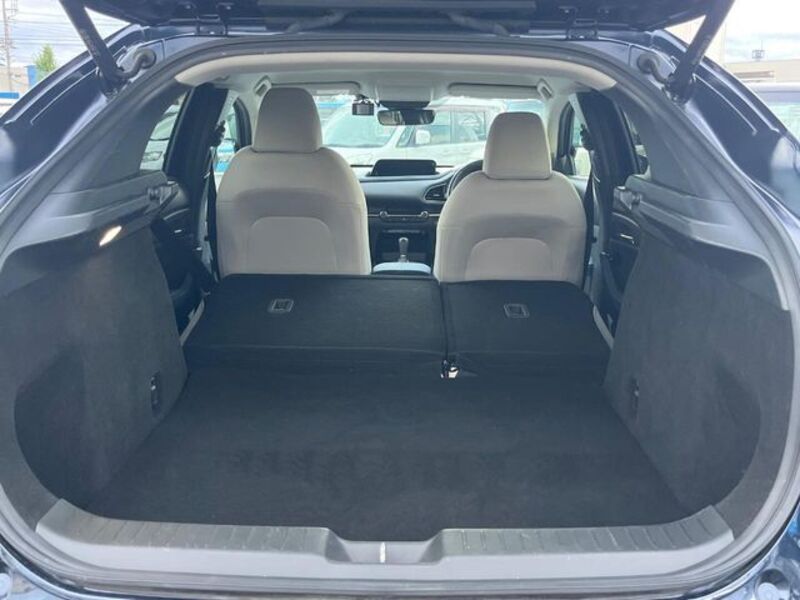 CX-30