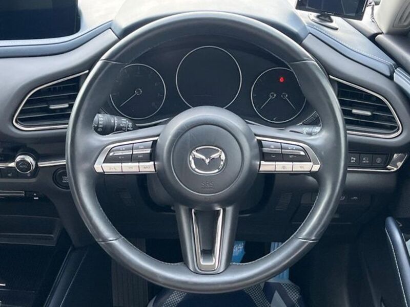 CX-30