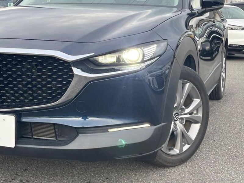 CX-30