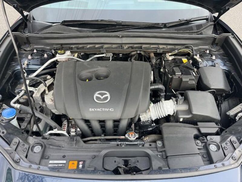 CX-30