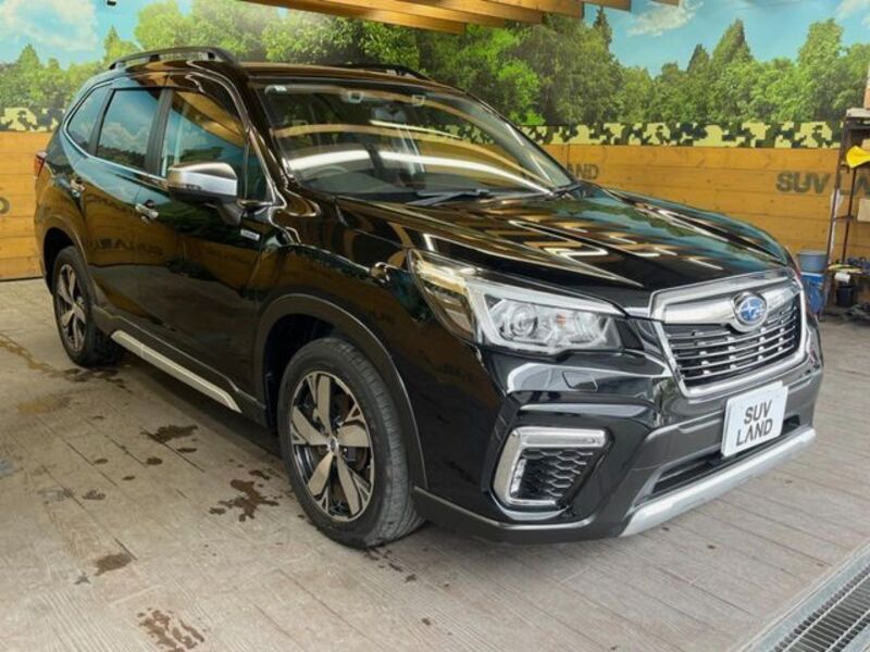 FORESTER