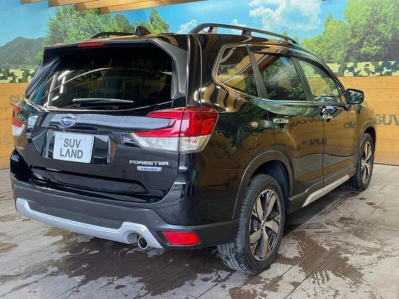 FORESTER