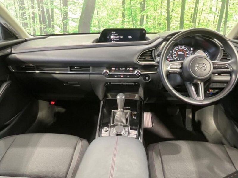 CX-30