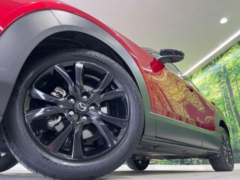 CX-30