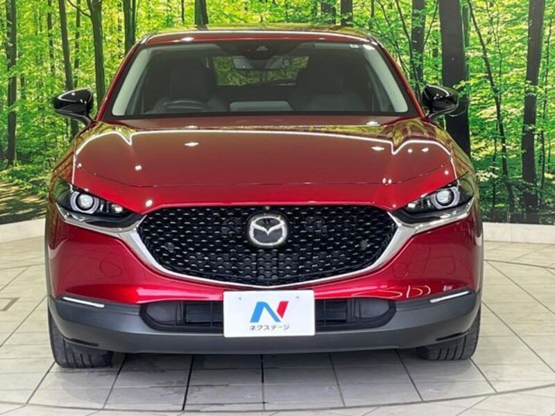 CX-30