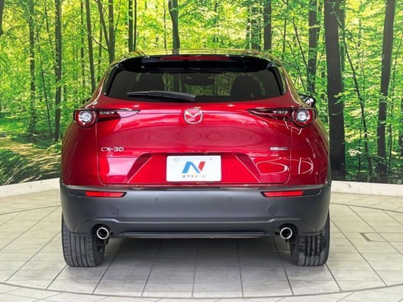CX-30