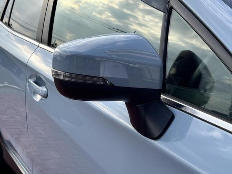 XV