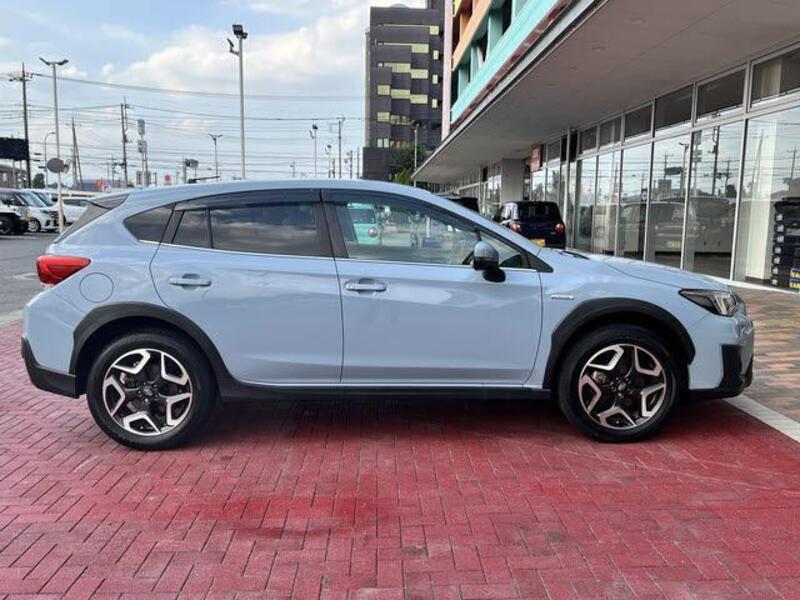 XV